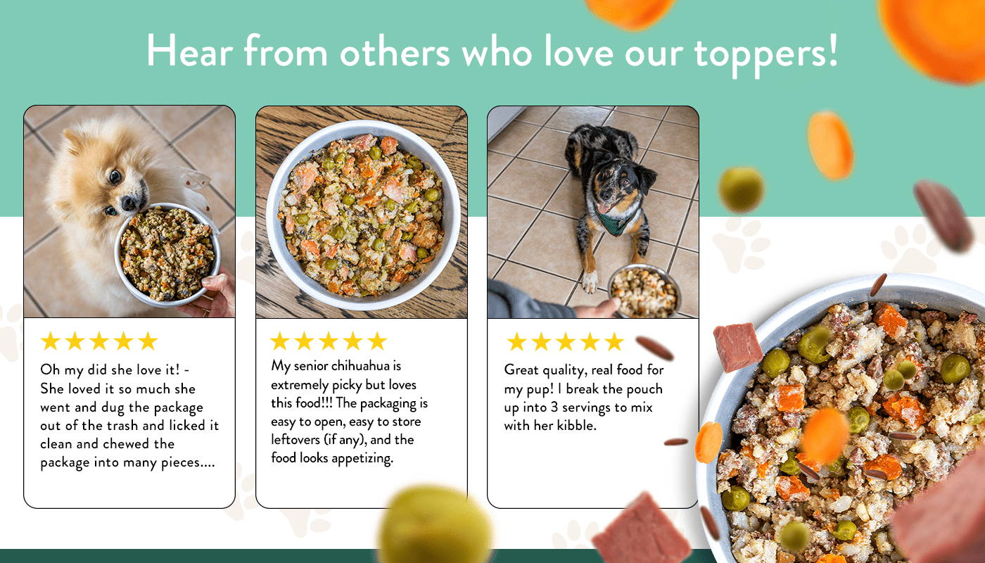 Dog Food Toppers HumanGrade, Healthy Mixers, Toppings Portland Pet Food Company